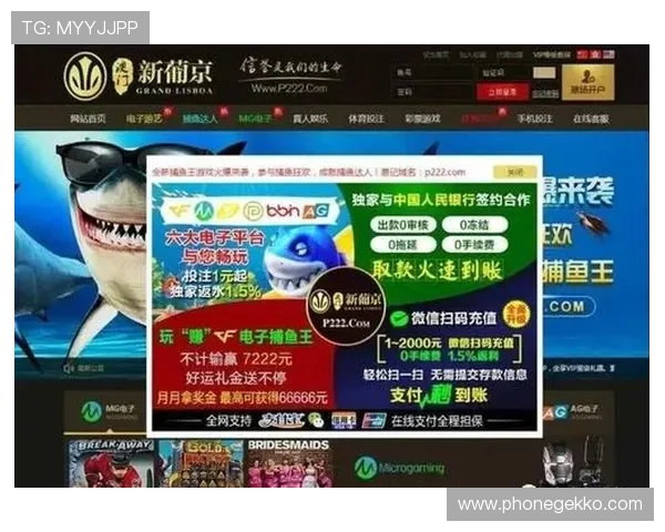 新葡京app手机登录遇到问题怎么办?详细解决方案与操作技巧
