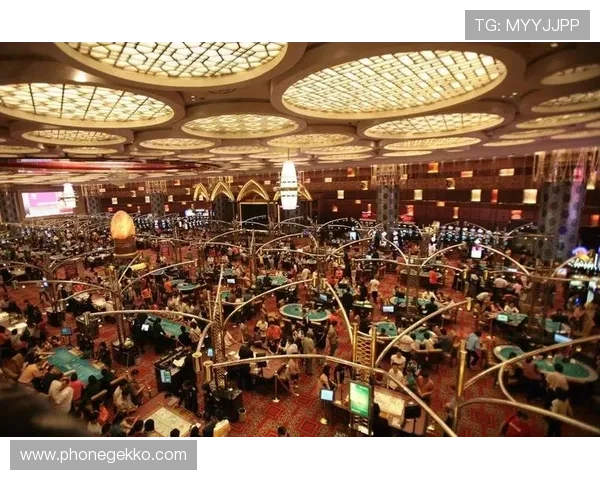 新葡京娱乐网娱乐app安全可靠,提供多样化的游戏选择和优质的客户服务保障用户娱乐无忧